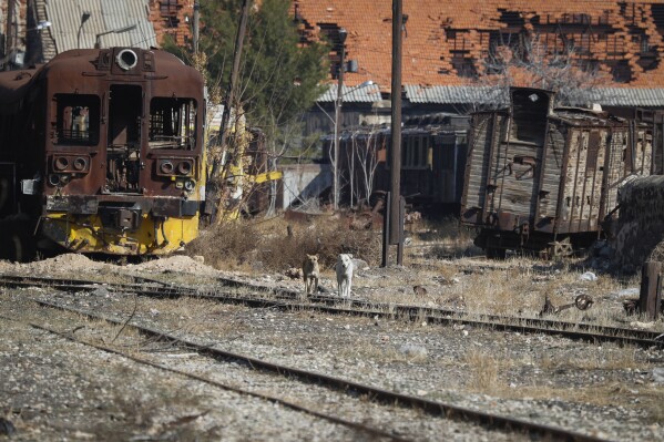 dogs walk on the tracks of the qadam train station, which was damaged in the war between rebel forces and ousted president bashar assad's forces, in damascus, syria, monday, jan. 13, 2025. (ap photo/omar sanadiki)
